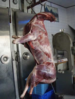 鹿肉